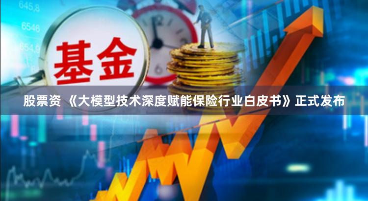 股票资 《大模型技术深度赋能保险行业白皮书》正式发布