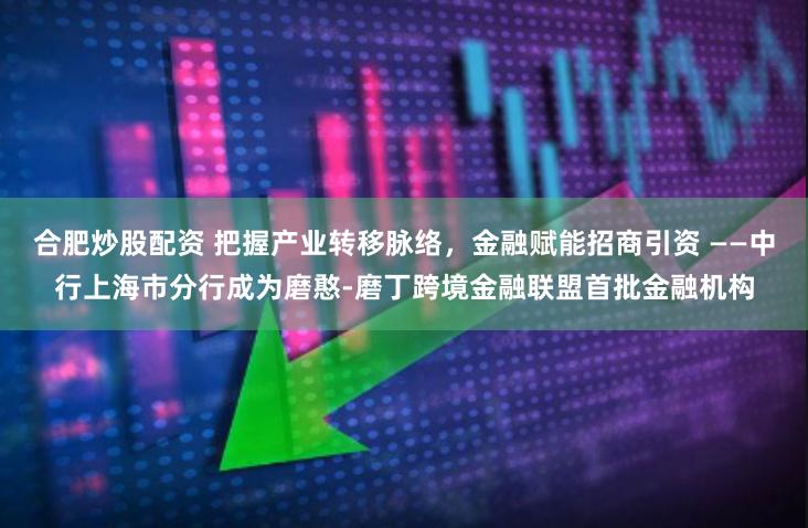 合肥炒股配资 把握产业转移脉络，金融赋能招商引资 ——中行上海市分行成为磨憨-磨丁跨境金融联盟首批金融机构
