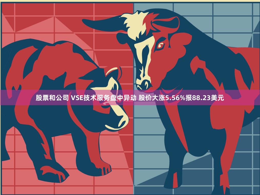 股票和公司 VSE技术服务盘中异动 股价大涨5.56%报88.23美元