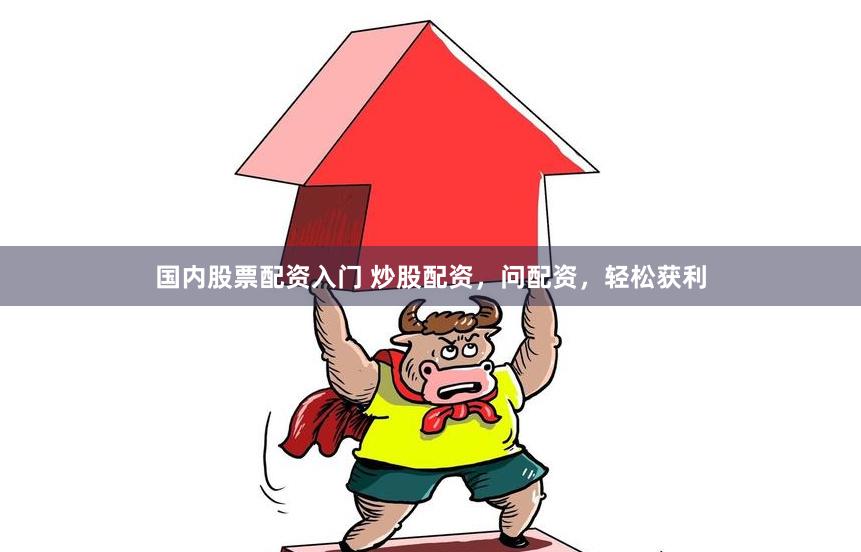 国内股票配资入门 炒股配资，问配资，轻松获利